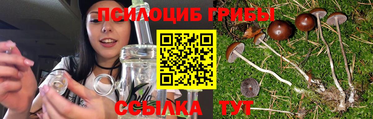 Галлюциногенные грибы Psilocybe  Галлюциногенные грибы мухоморы  купить наркотик  Владимир  Вход с VPN 